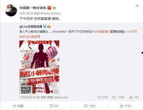 易阳利哥最新爆料消息今天,今日热点事件深度解析  第1张